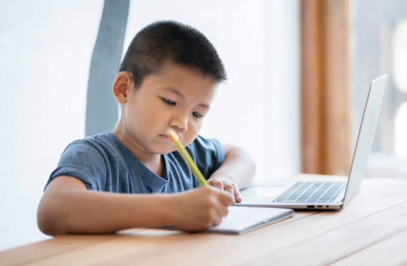 Boy Having Primary School Tuition