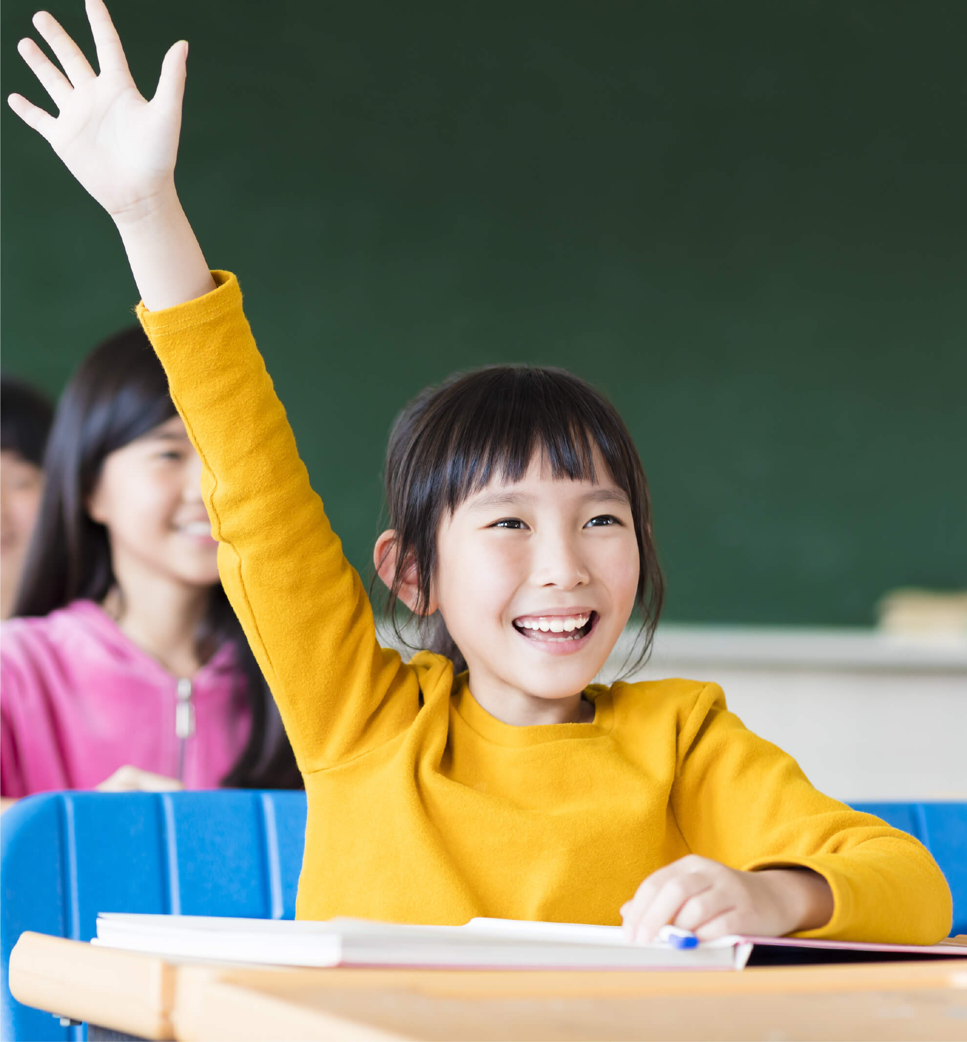 mindflex-offers-primary-school-tuition Categories of Primary School Tuition which MindFlex Offers