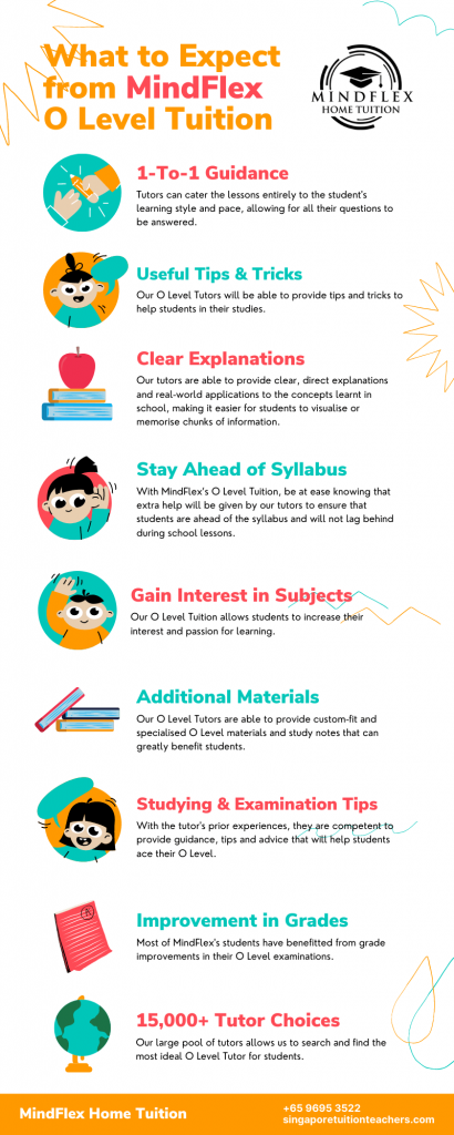 Infographic on What To Expect From MindFlex O Level Tutors