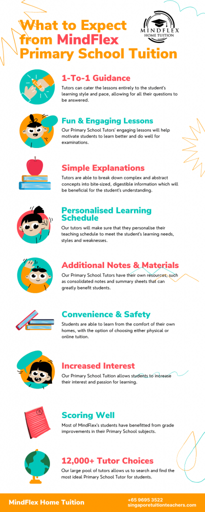 Infographic on What To Expect From MindFlex Primary School Tutors